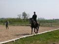 Trabrunde auf dem Reitplatz