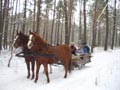 Zünftige Schlittenfahrt durch verschneite Wälder