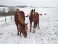 Auch im Winter geht es regelmäßig an die frische Luft